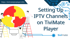 TiviMate Player
